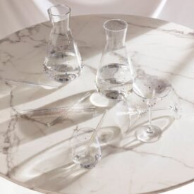 Swarovski Glassware Collection – Lime & Rainbow Edition