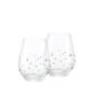 Swarovski-Water-Glass-Set-of-2-1.jpeg
