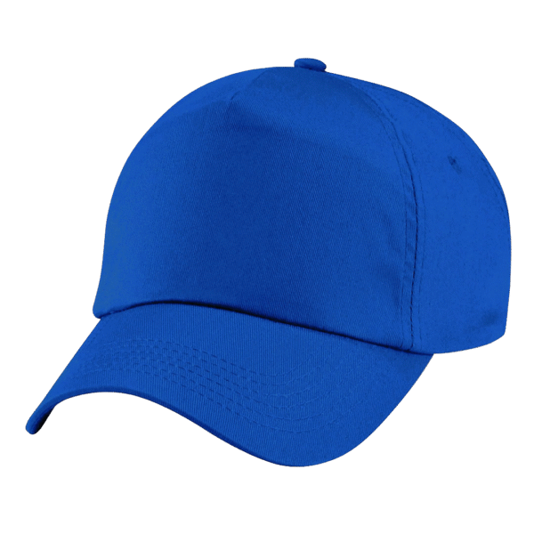 cap_blue-1.png cap_blue-1.png