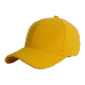 cap_yellow-1.png