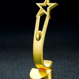 Star of the Day Metal Trophy