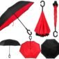 reversible_umbrella_2.jpg